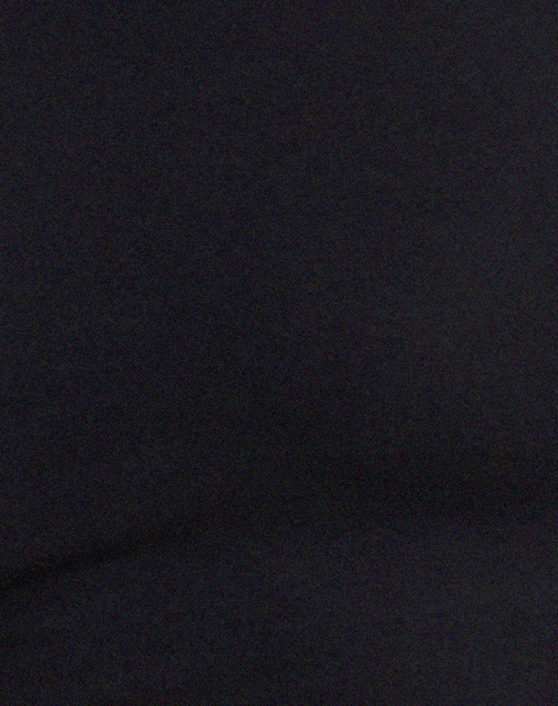 Xiwang Crop Top in Black-Nico Sky