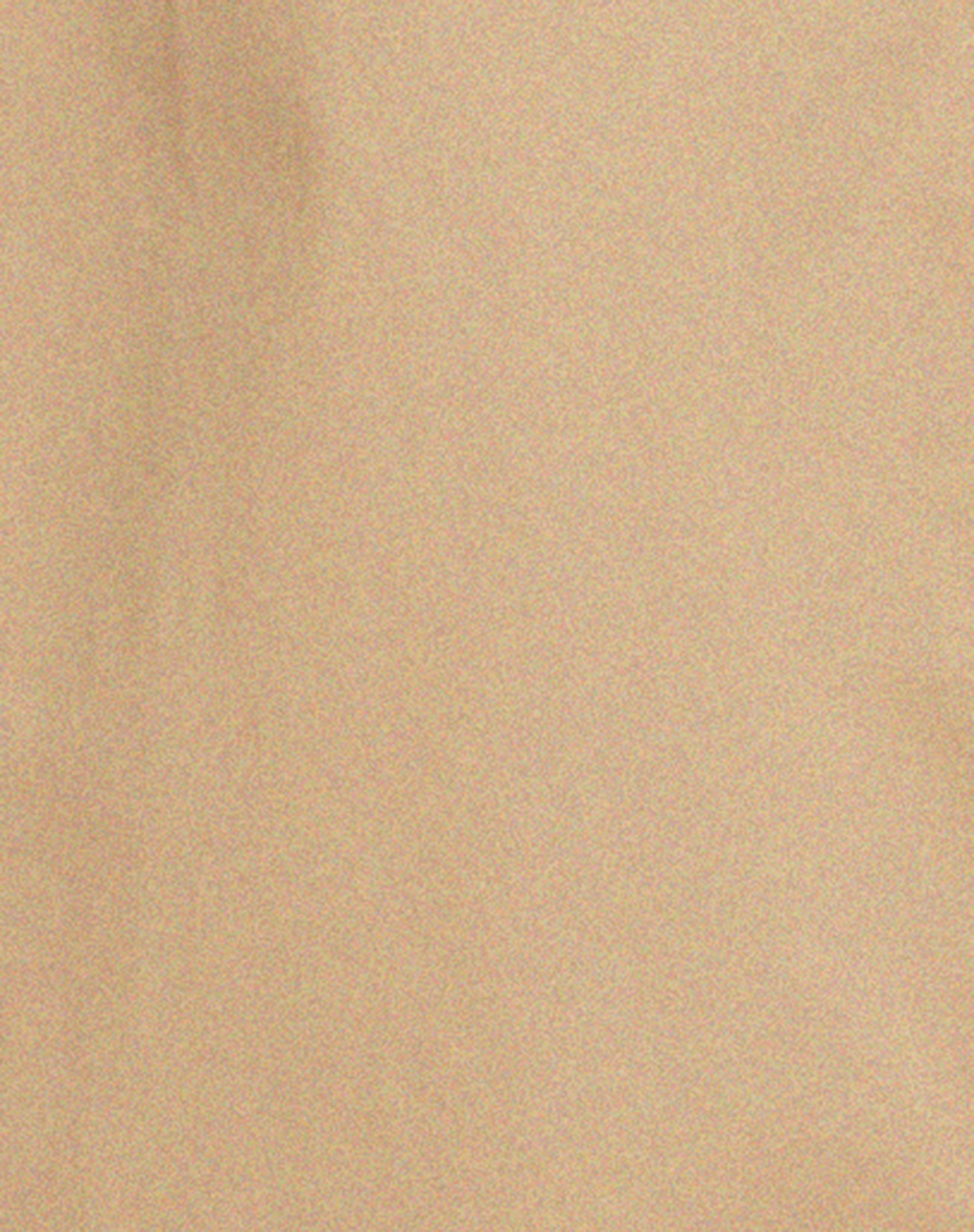 Assa Trench Coat in Tan with Stripe Lining-Nico Sky