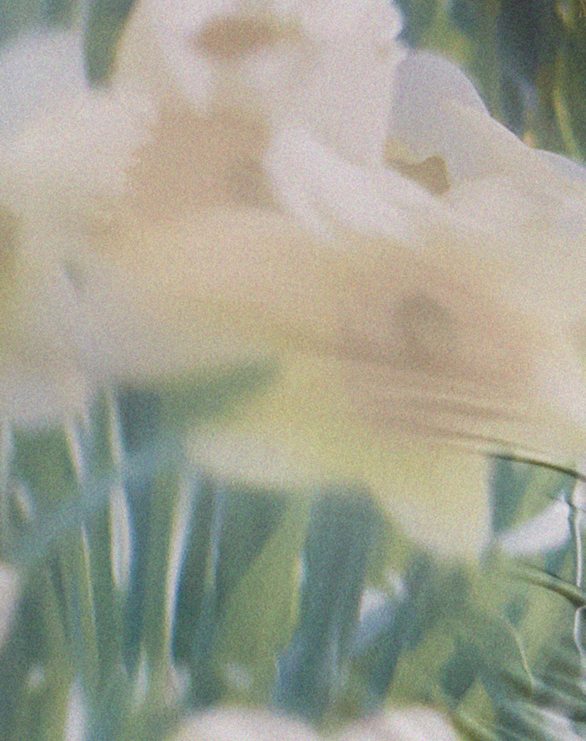 Monve Vest Top in Digi Flower-Nico Sky