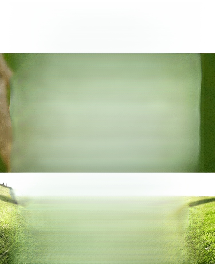 【✨️100-1000° intelligente Fokussierung】Ultraleichte und bequeme Anti-Blaulicht-Brille für Presbyopie