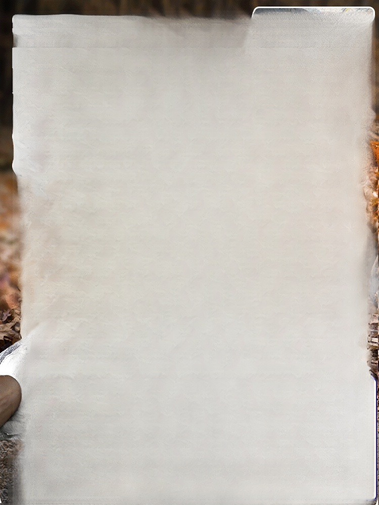 【Industrieklasse】Hochleistungs-Wireless-Gebläse【Bürstenloser Motor – 20× stärker als normale Föns】