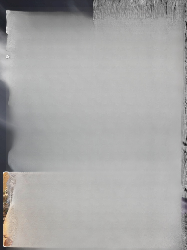 【Industrieklasse】Hochleistungs-Wireless-Gebläse【Bürstenloser Motor – 20× stärker als normale Föns】