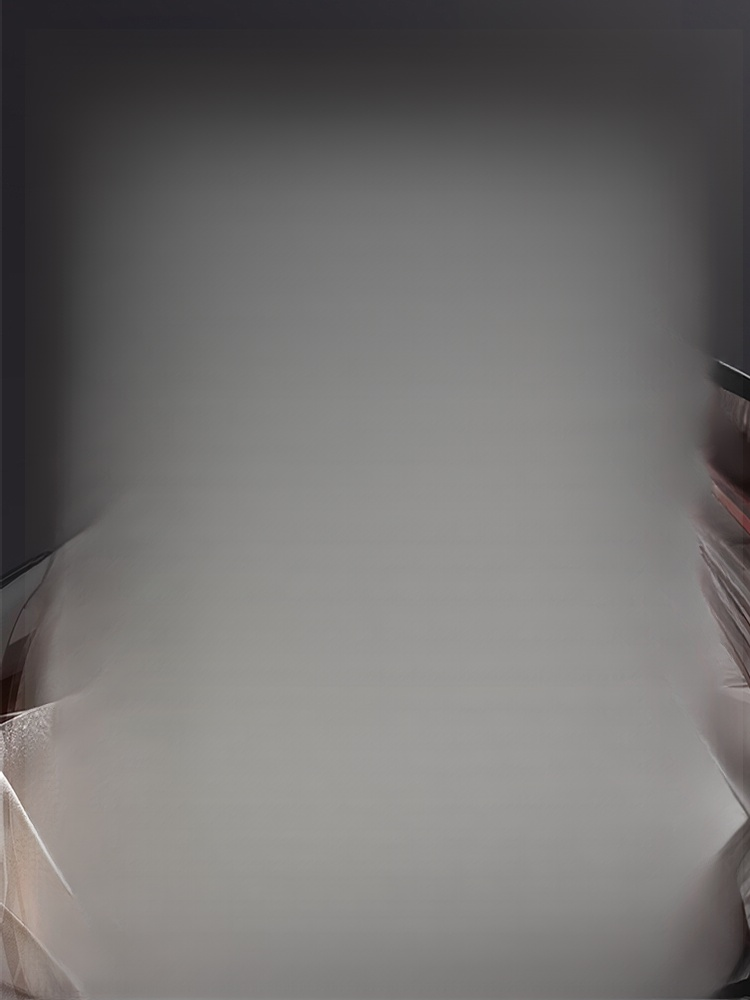 【Industrieklasse】Hochleistungs-Wireless-Gebläse【Bürstenloser Motor – 20× stärker als normale Föns】