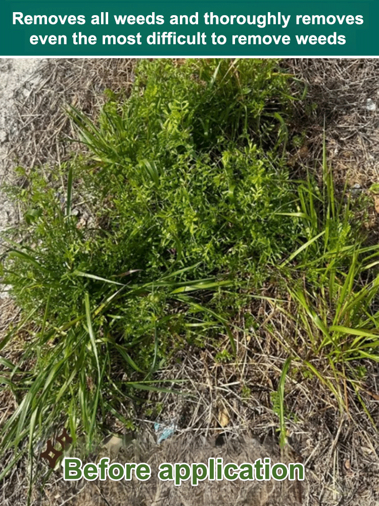 【⏱️ Results in 3 Hours】Root-Killing Herbicide 🧪, Specialized for Large Trees 🌳, 2-Year Long-Lasting Weed Control 🛡️