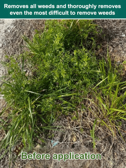 【⏱️ Results in 3 Hours】Root-Killing Herbicide 🧪, Specialized for Large Trees 🌳, 2-Year Long-Lasting Weed Control 🛡️