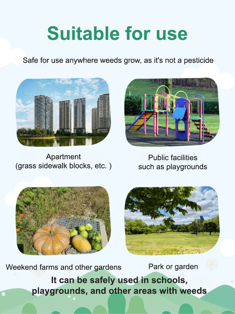 【⏱️ Results in 3 Hours】Root-Killing Herbicide 🧪, Specialized for Large Trees 🌳, 2-Year Long-Lasting Weed Control 🛡️