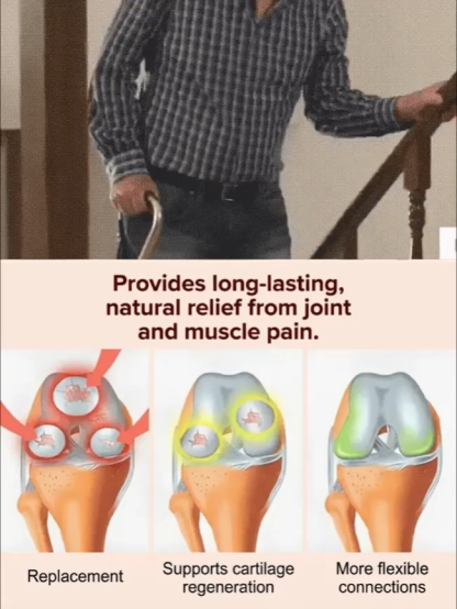  4J XXL Mini Cherry Tomatoes | Harvest in the First Year | Perfect for Homes  Gardens 