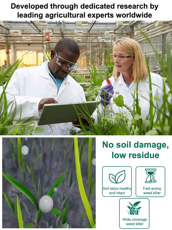【⏱️ Results in 3 Hours】Root-Killing Herbicide 🧪, Specialized for Large Trees 🌳, 2-Year Long-Lasting Weed Control 🛡️