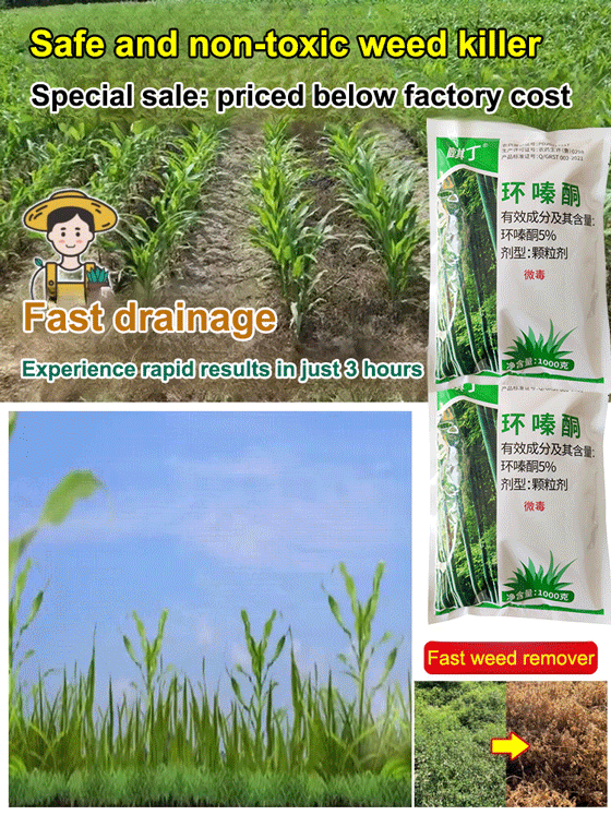 【⏱️ Results in 3 Hours】Root-Killing Herbicide 🧪, Specialized for Large Trees 🌳, 2-Year Long-Lasting Weed Control 🛡️