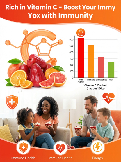 USDA-Certified Black Diamond Wax Apple Seedlings🌱 | 0 Fat, Low Calorie, Must-Have High-Yield Fruit Tree for Your Garden🏡 | 98% Germination Rate, 30-Day Survival Guarantee✅