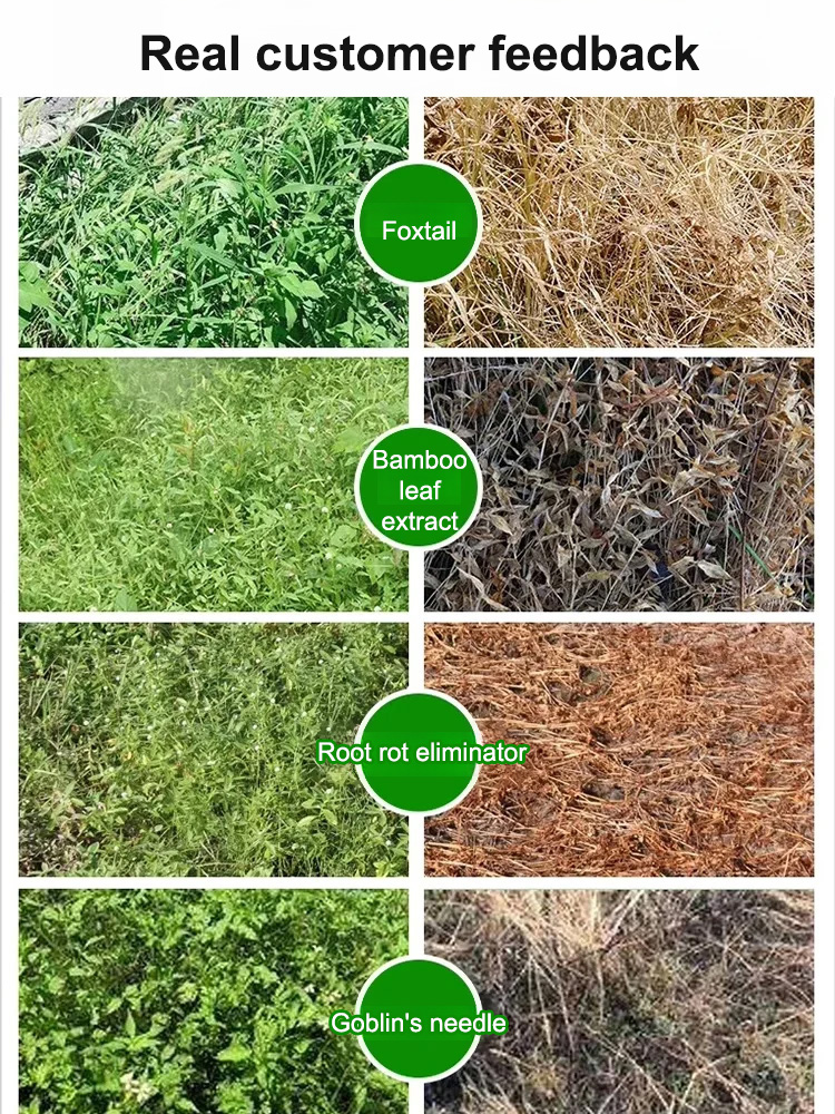 【⏱️ Results in 3 Hours】Root-Killing Herbicide 🧪, Specialized for Large Trees 🌳, 2-Year Long-Lasting Weed Control 🛡️