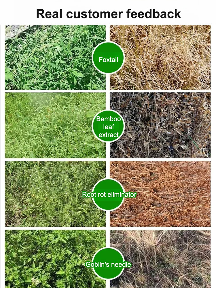 【⏱️ Results in 3 Hours】Root-Killing Herbicide 🧪, Specialized for Large Trees 🌳, 2-Year Long-Lasting Weed Control 🛡️