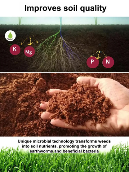 【⏱️ Results in 3 Hours】Root-Killing Herbicide 🧪, Specialized for Large Trees 🌳, 2-Year Long-Lasting Weed Control 🛡️