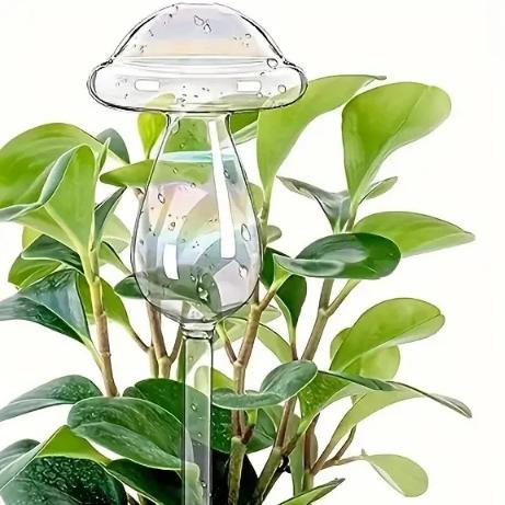Skleněná kulatá zavlažovací koule pro rostliny domácnosti