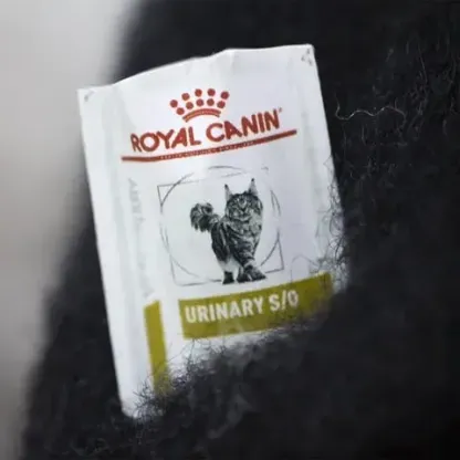 🌲Christmas Gift 50% Off--🎄✨Wool Felt Familiars – Quirky Handmade Companions