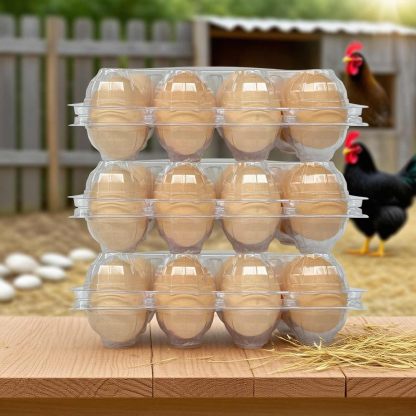 50-Pack of 12-Count Plastic Egg Cartons – Bulk Clear Reusable Egg Containers Holds Chicken Eggs | Egg Cartons Cheap Bulk, Eggs 12 Count,Suitable for farms, markets and families.