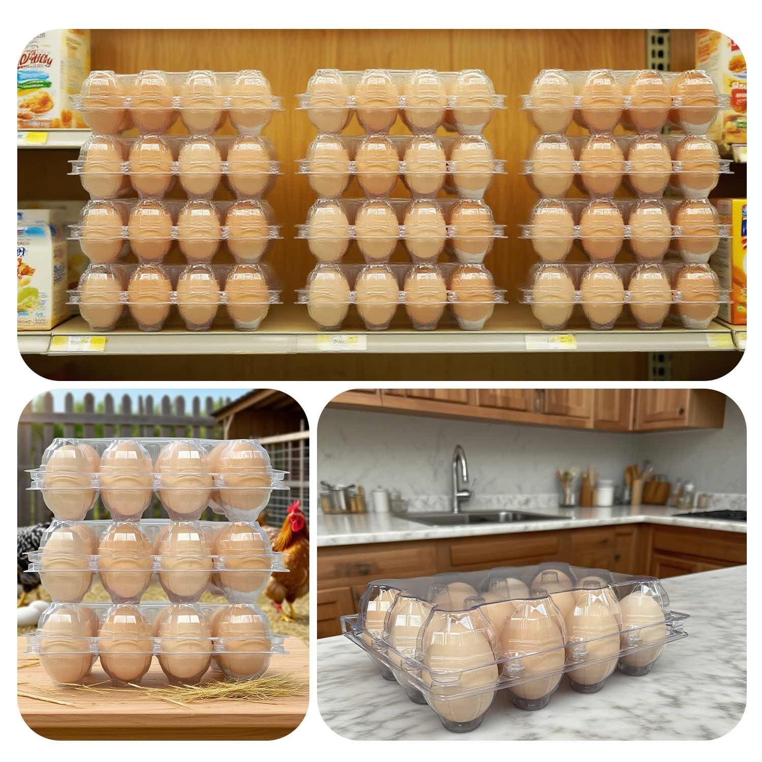 50-Pack of 12-Count Plastic Egg Cartons – Bulk Clear Reusable Egg Containers Holds Chicken Eggs | Egg Cartons Cheap Bulk, Eggs 12 Count,Suitable for farms, markets and families.