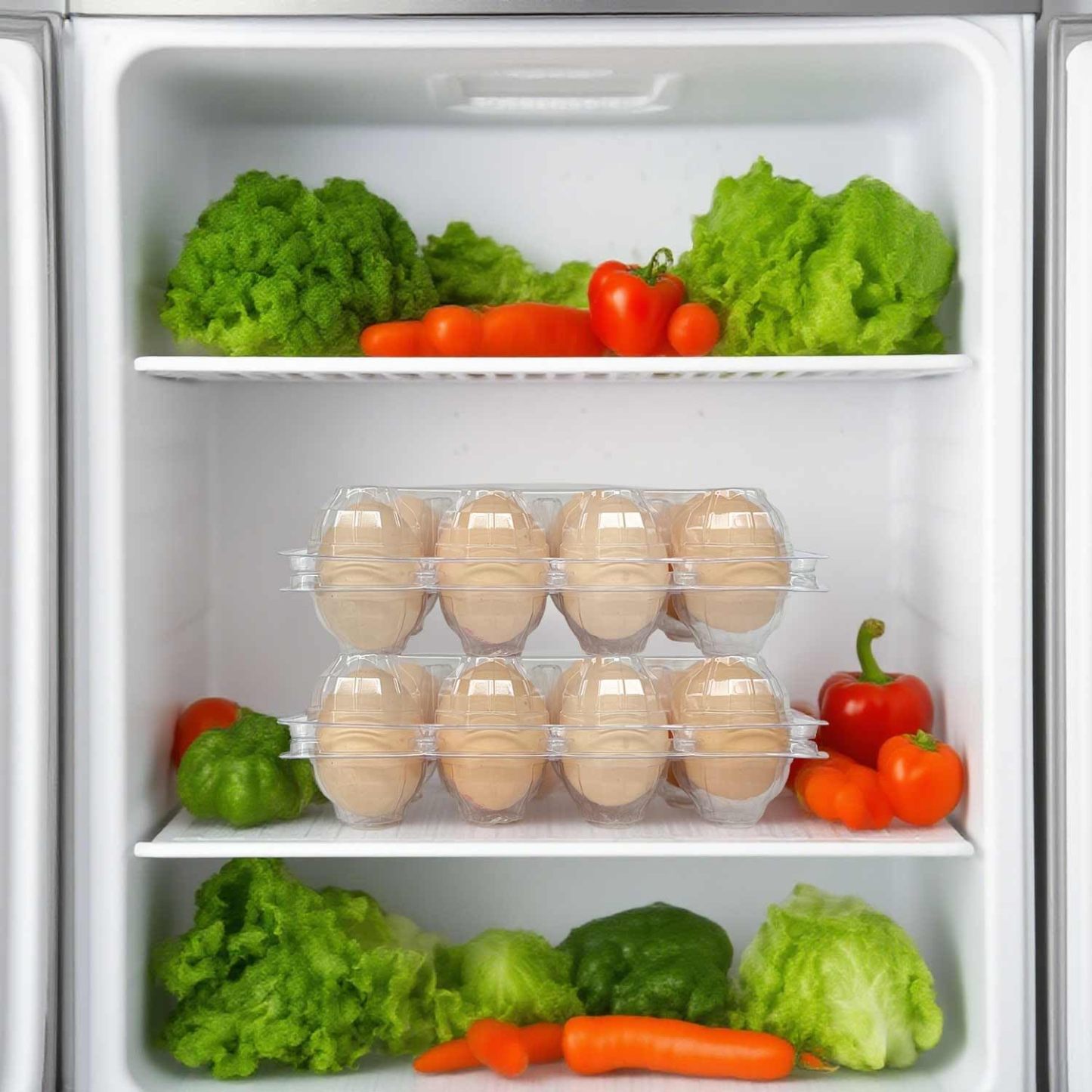 50-Pack of 12-Count Plastic Egg Cartons – Bulk Clear Reusable Egg Containers Holds Chicken Eggs | Egg Cartons Cheap Bulk, Eggs 12 Count,Suitable for farms, markets and families.