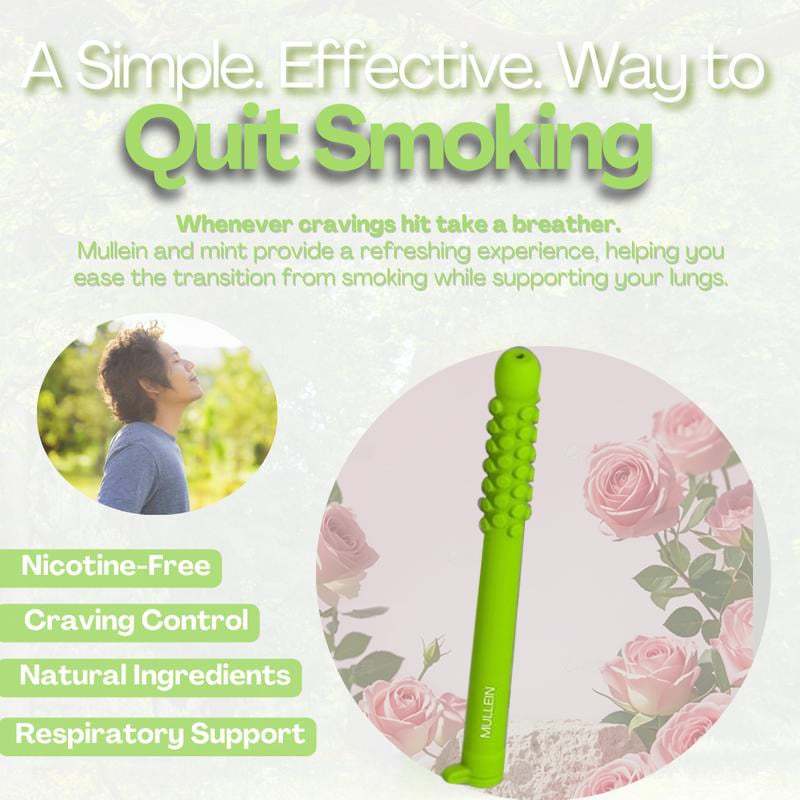 🎁Hot Sale Promotion 49% OFF🔥 NEW Mullein Lung Detox Chewer with Essential Oils