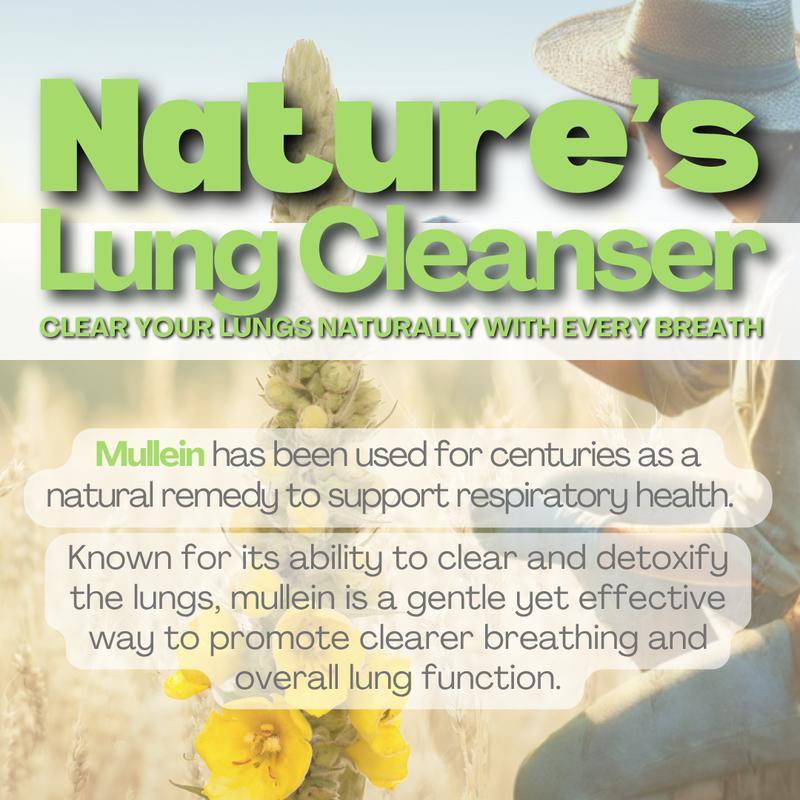 🎁Hot Sale Promotion 49% OFF🔥 NEW Mullein Lung Detox Chewer with Essential Oils