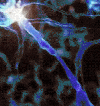 BUY 2 GET 1 FREE🔥🔥 Vitality Spray For Men 🍆 Powerful Erections in Just 3 Minutes! | Powered by NATRAVOR®