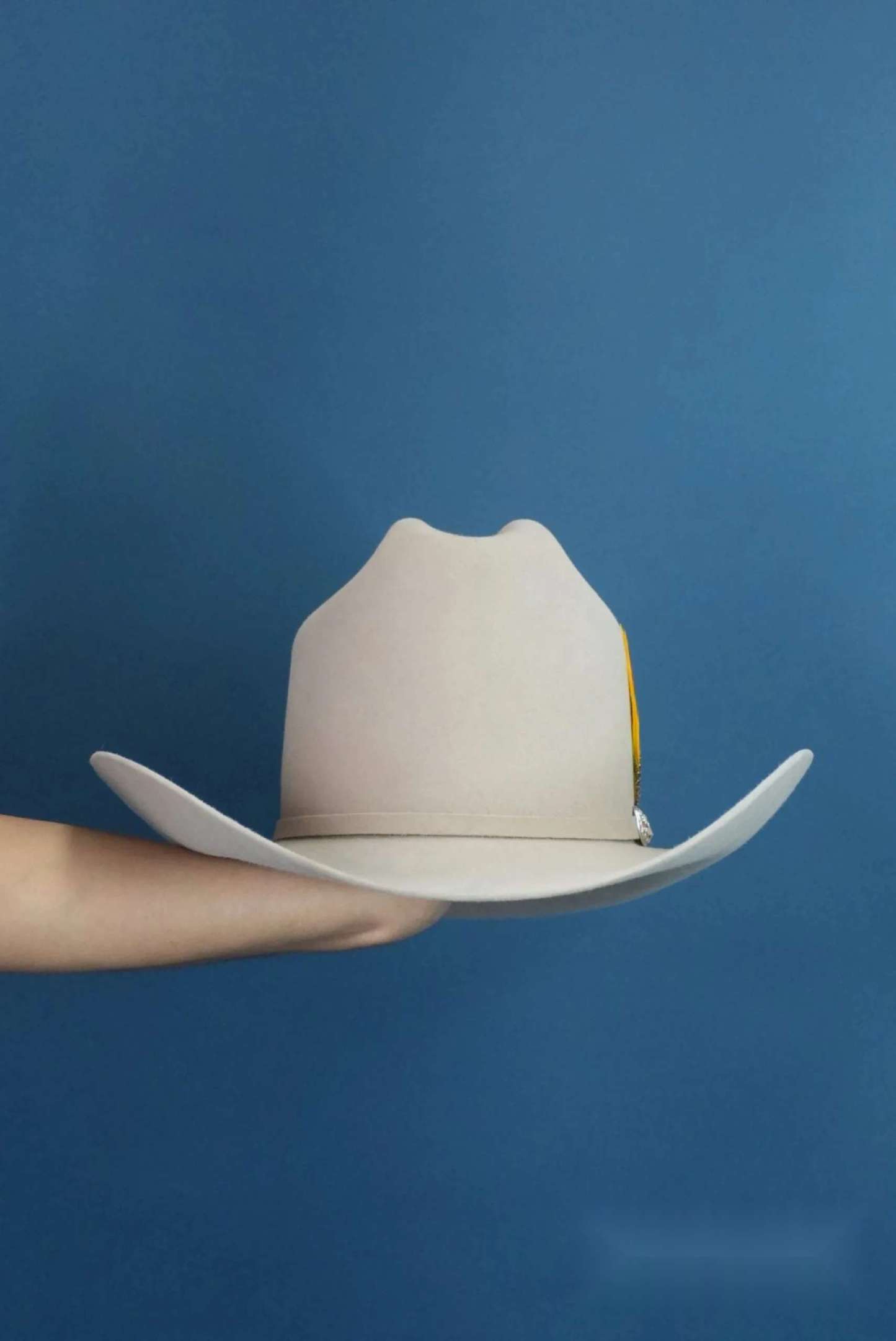 RDR COPA ALTA 6X EL PATRÓN- SILVER BELLY