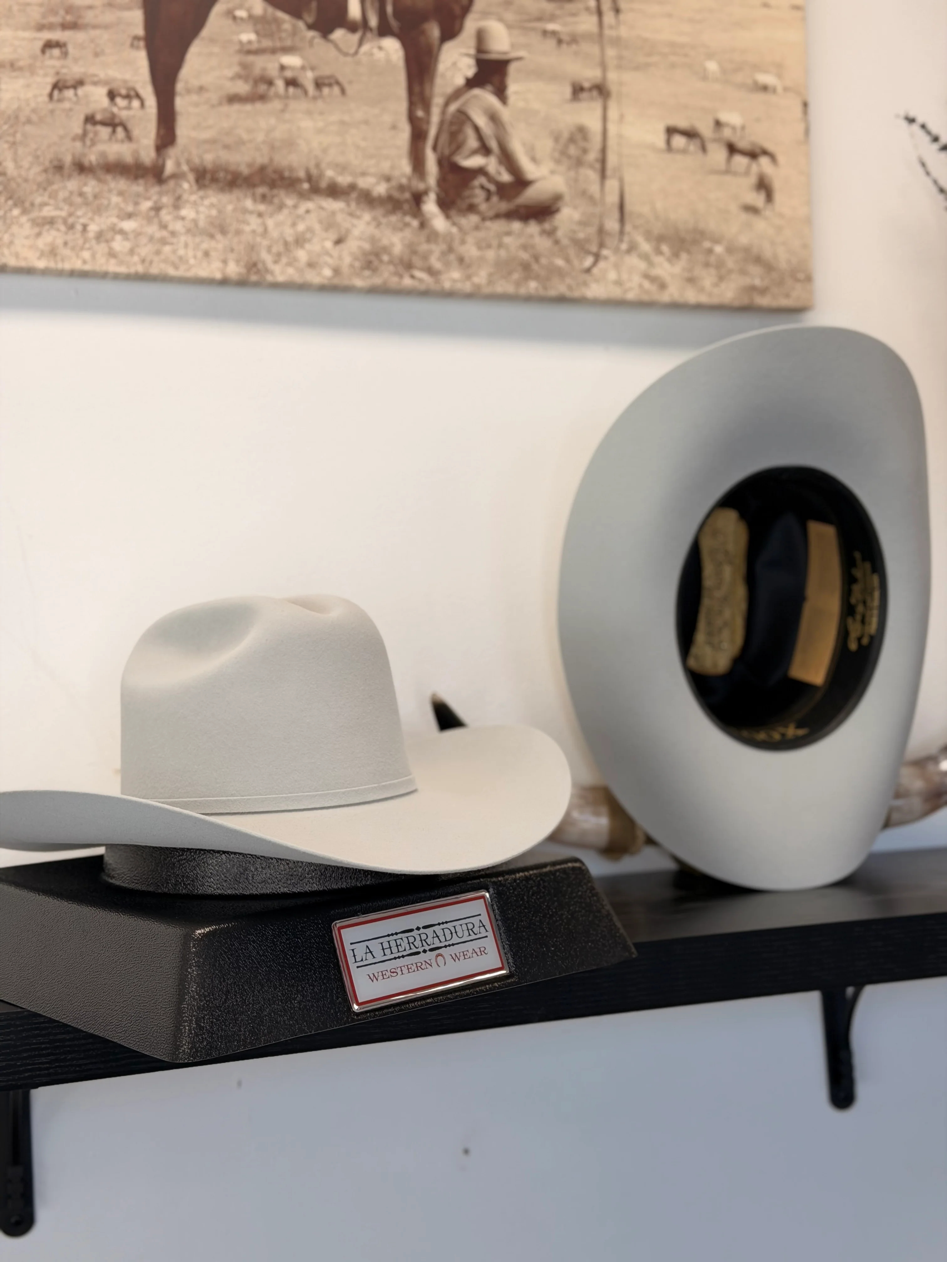 LARRY MAHANS 100X INDEPENDENCIA PLATINUM