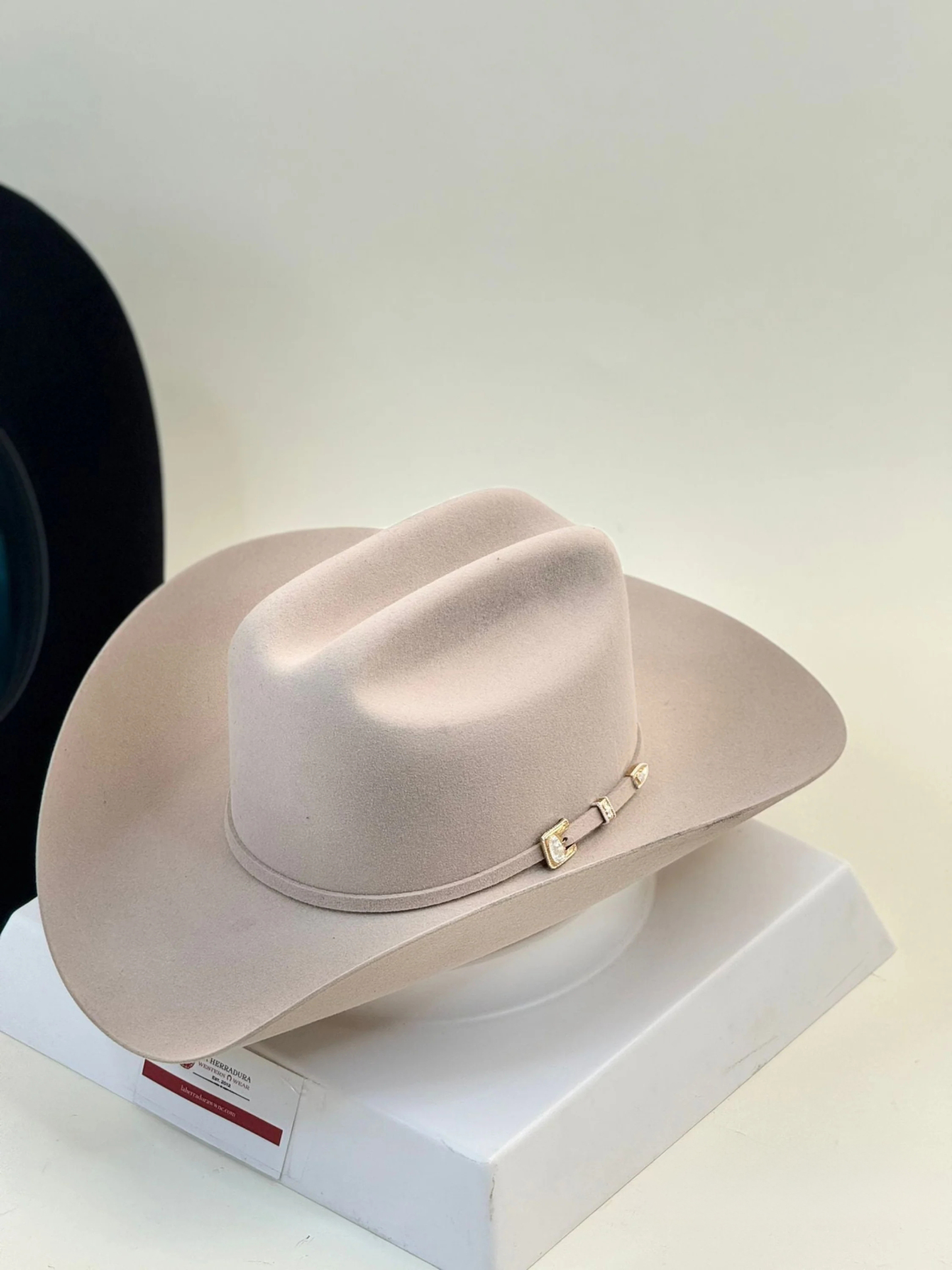 STETSON 6X SILVER BELLY GUADALUPANA