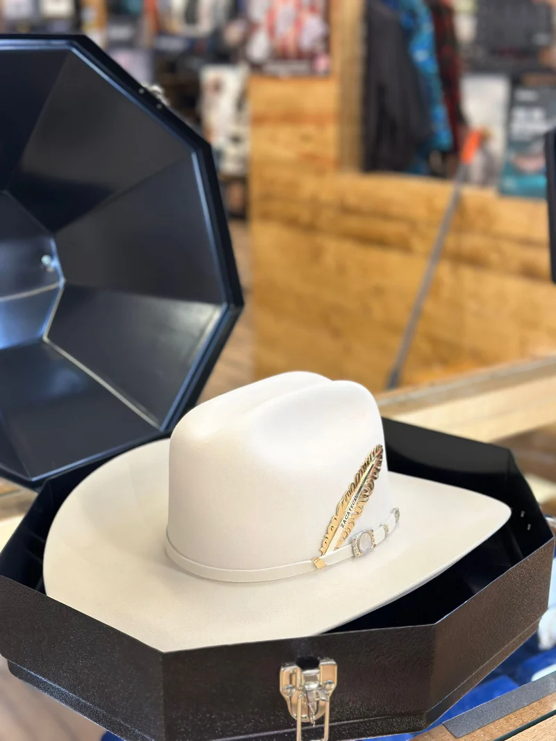 100X Larry Mahans Independence 🔥 Personalized Sinaloa Style