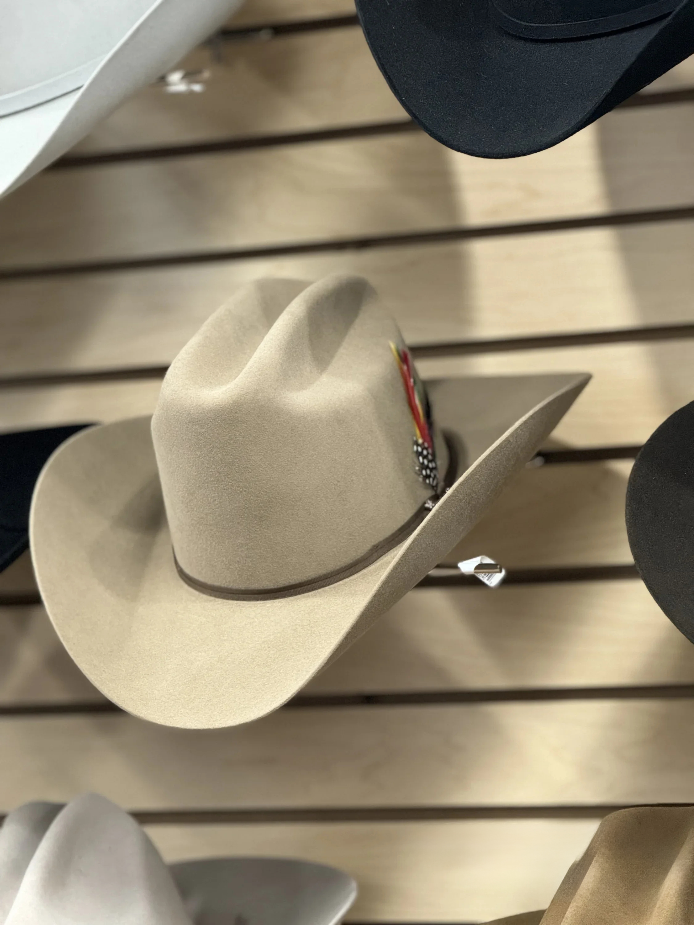 STETSON 6X SAHARA RANCHER COPA ALTA