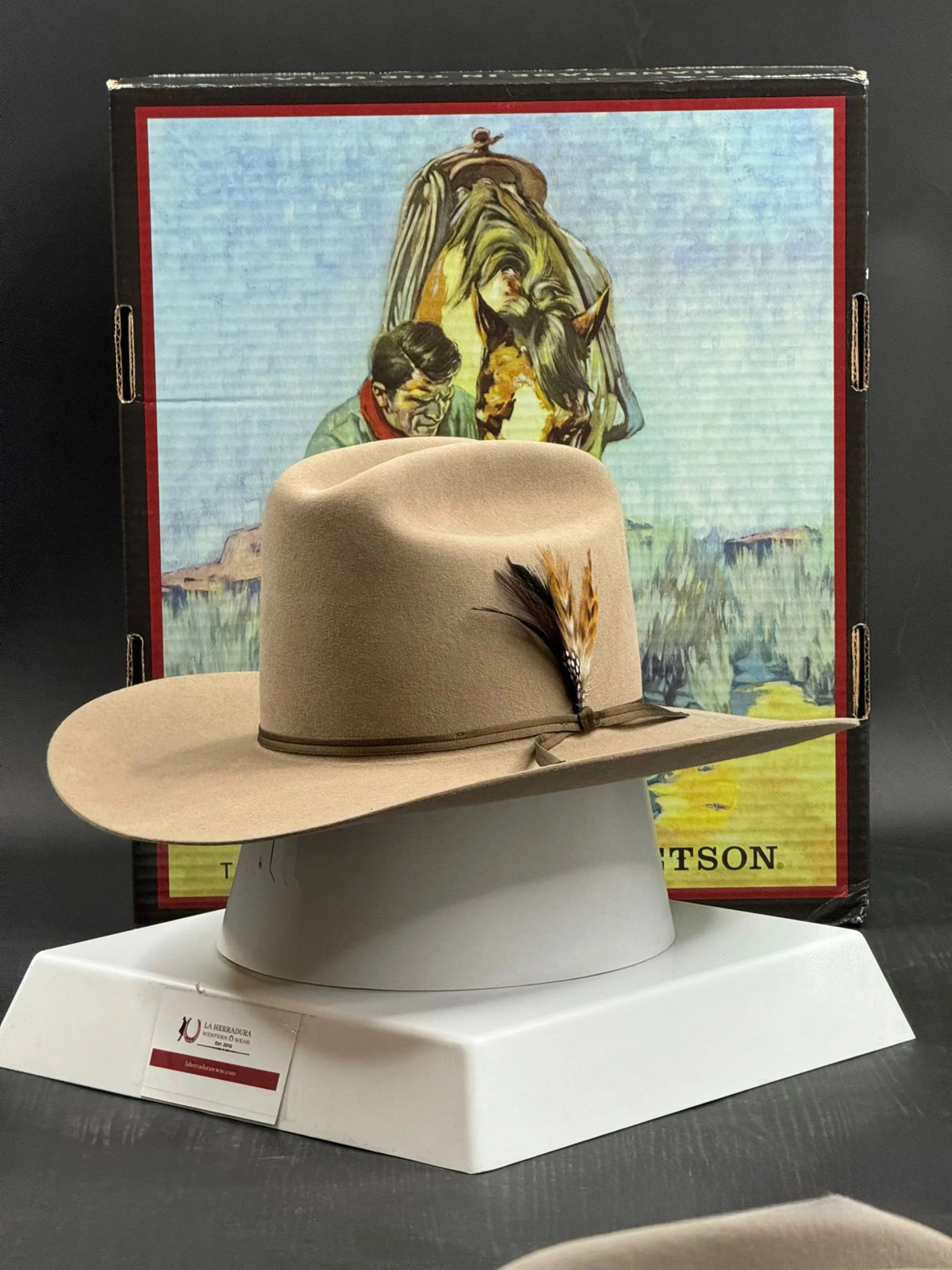 STETSON 6X SAHARA RANCHER COPA ALTA