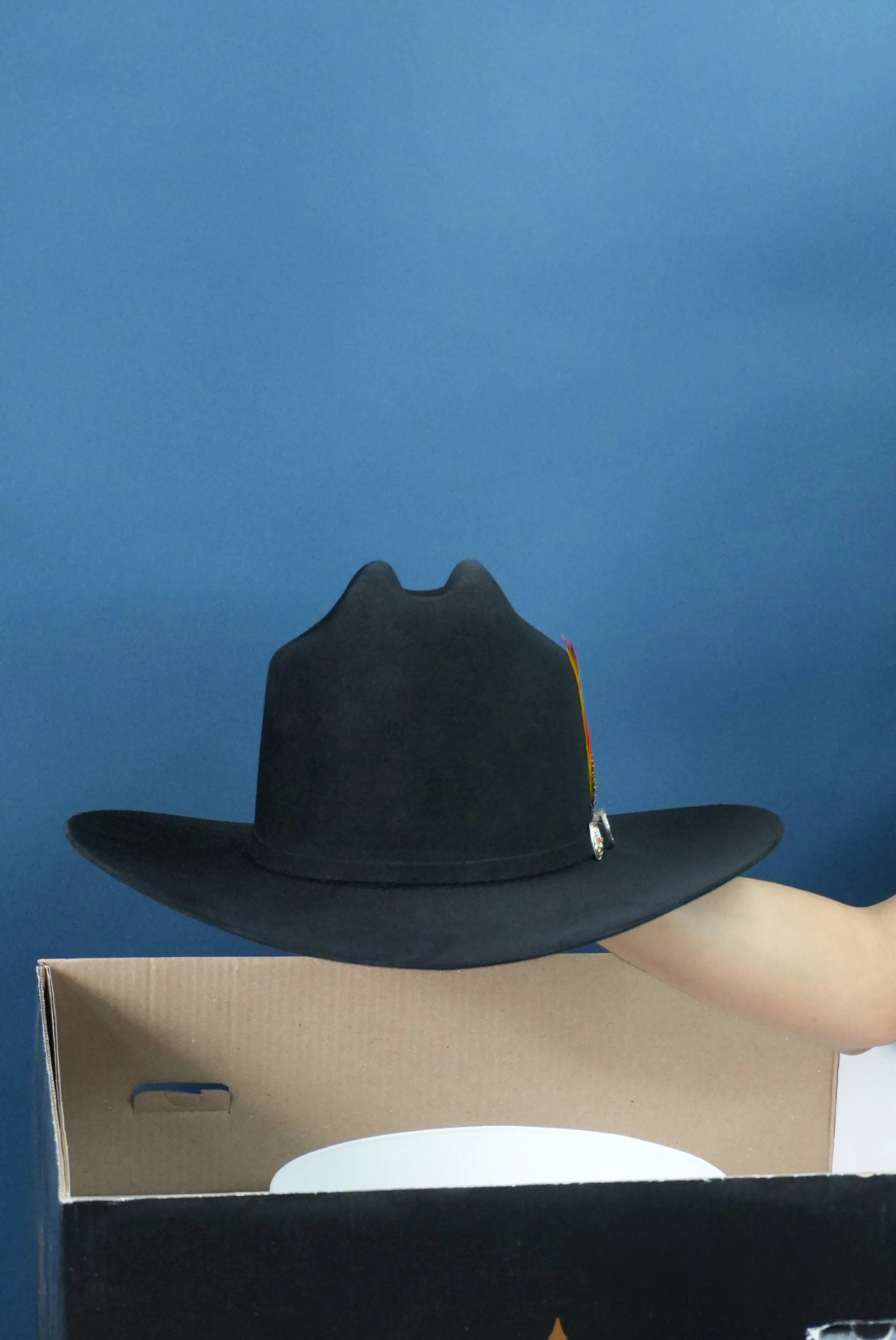 RDR COPA ALTA 6X EL PATRON VIRGIN DE GUADALUPE- NEGRO/BLACK