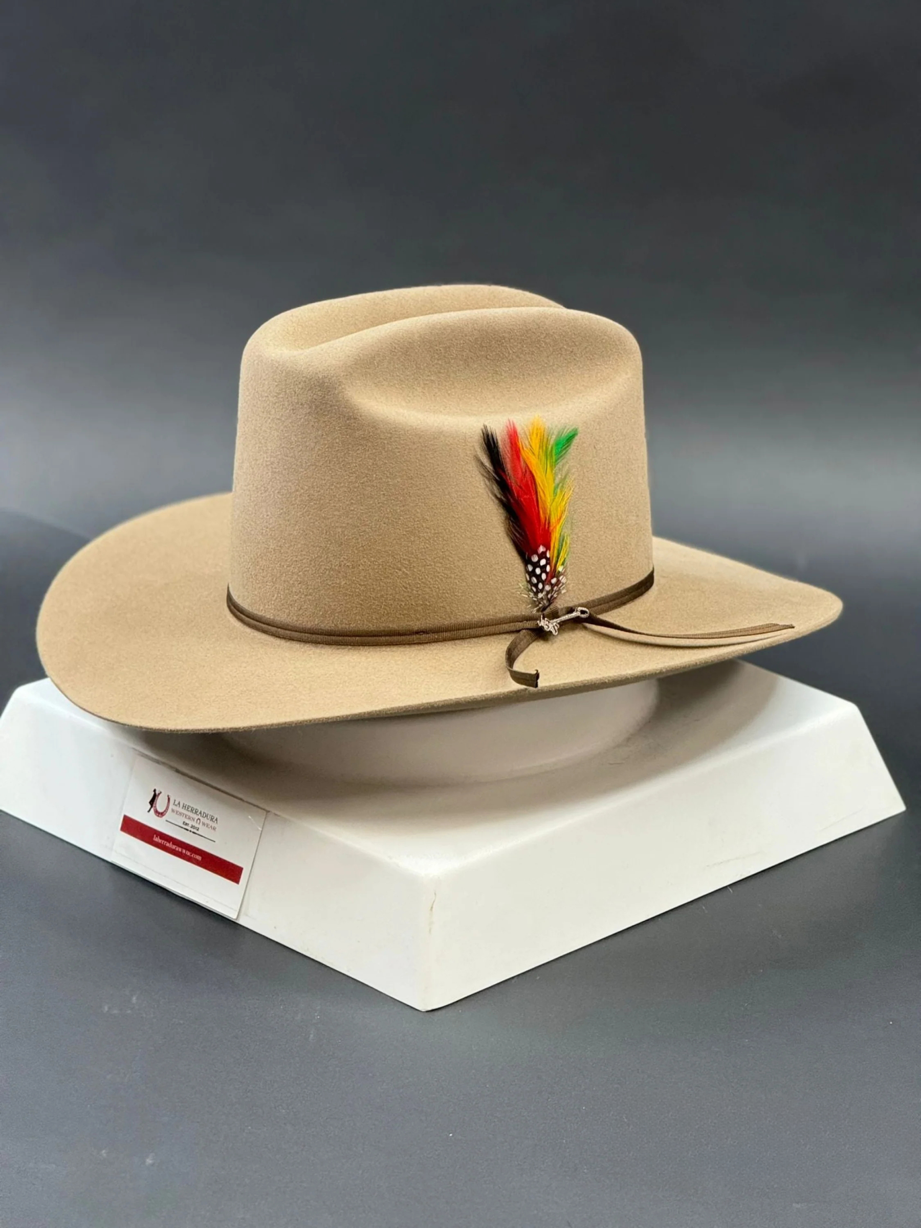 STETSON 6X SAHARA RANCHER COPA ALTA
