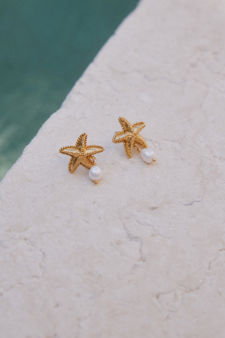 18k Gold Plated Devoted Darling Earrings-Roy Dress