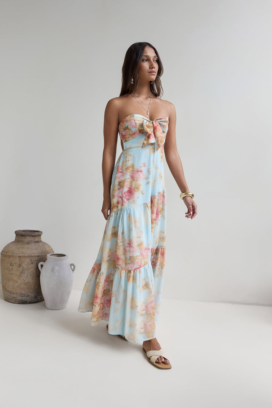 Beyond The Glow Strapless Maxi Dress Print-Roy Dress