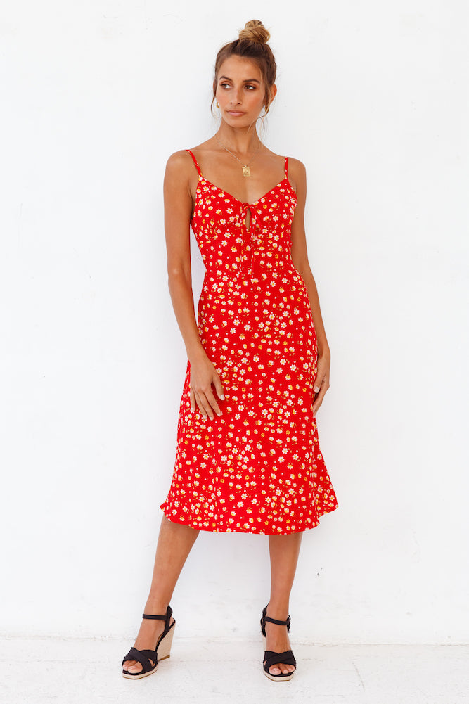 Apple Of My Eye Midi Dress-Roy Dress