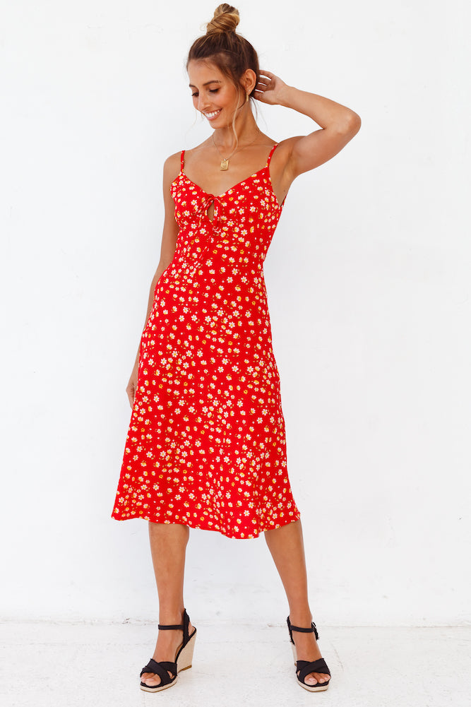 Apple Of My Eye Midi Dress-Roy Dress