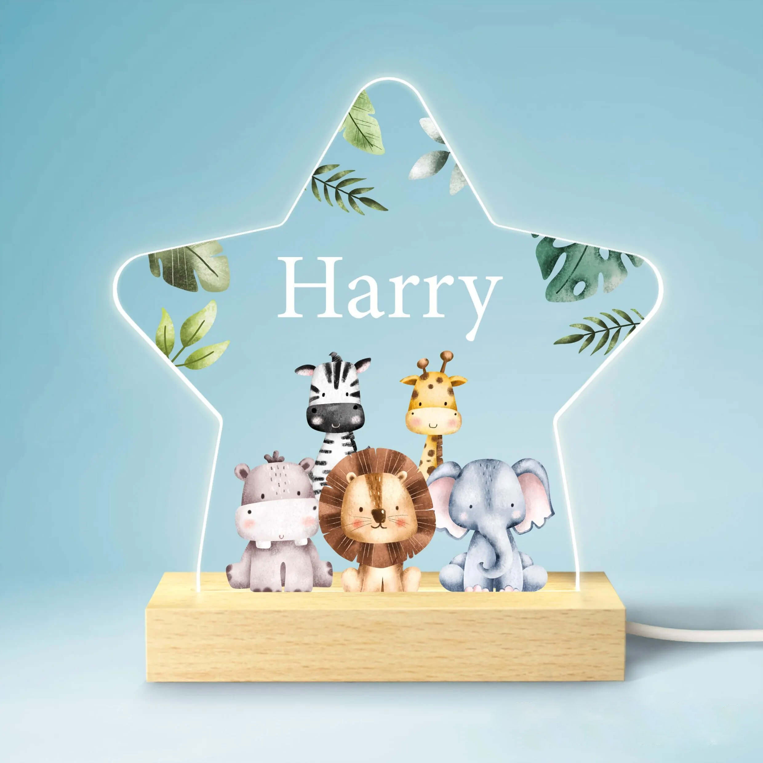 Personalized Acrylic Night Light - Cute Forest Animals Baby Gift