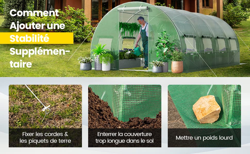 grande-serre-pour-plantes-de-plain-pied