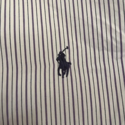 Polo Ralph Lauren Custom Fit Striped Oxford Shirt