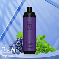 [10pcs] Fumot RandM Shisha 10000 Puffs Disposable Vape