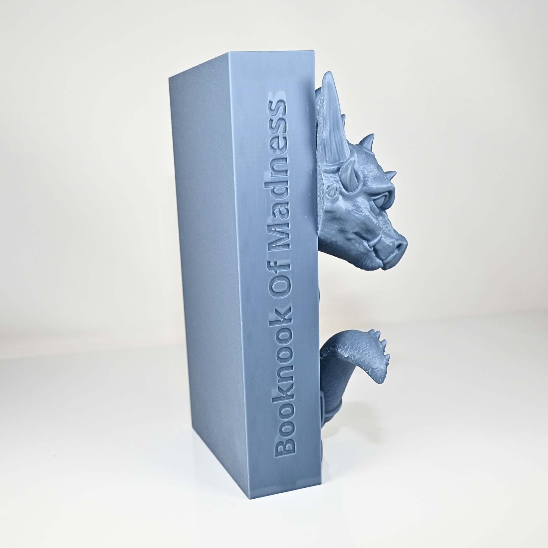 Library Dragon Book Nook