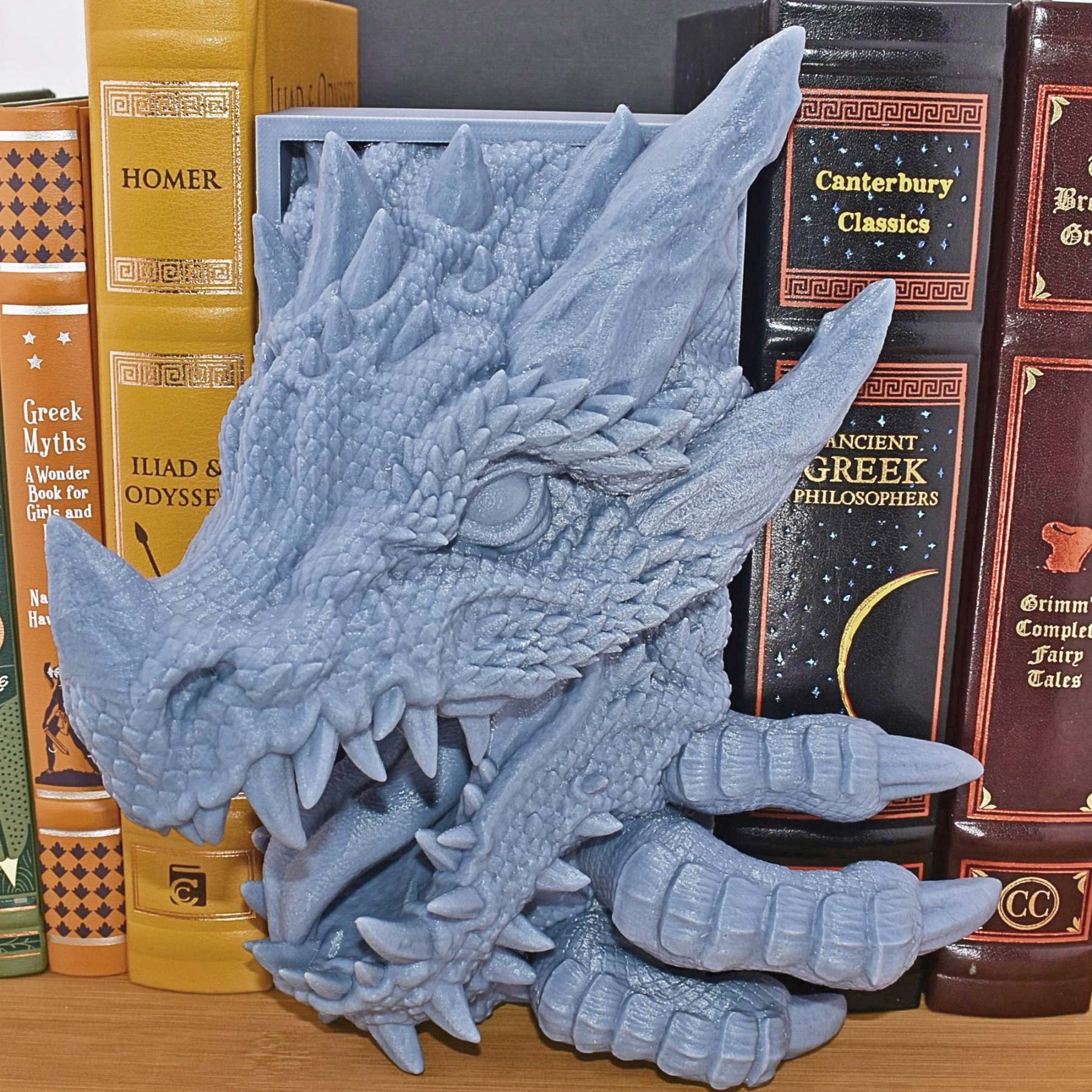 Dragon Book Nook