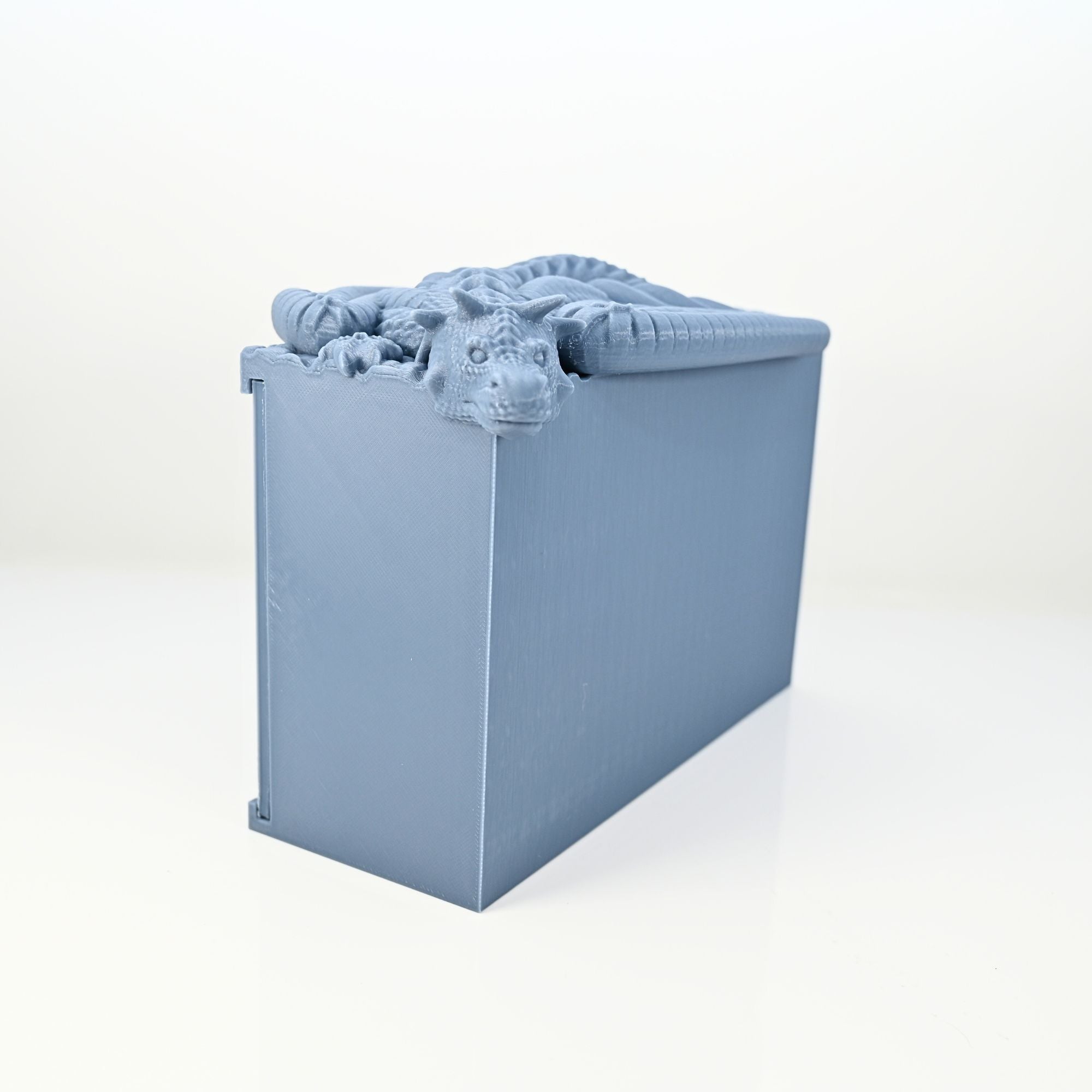 Hanging Dragon Book Nook