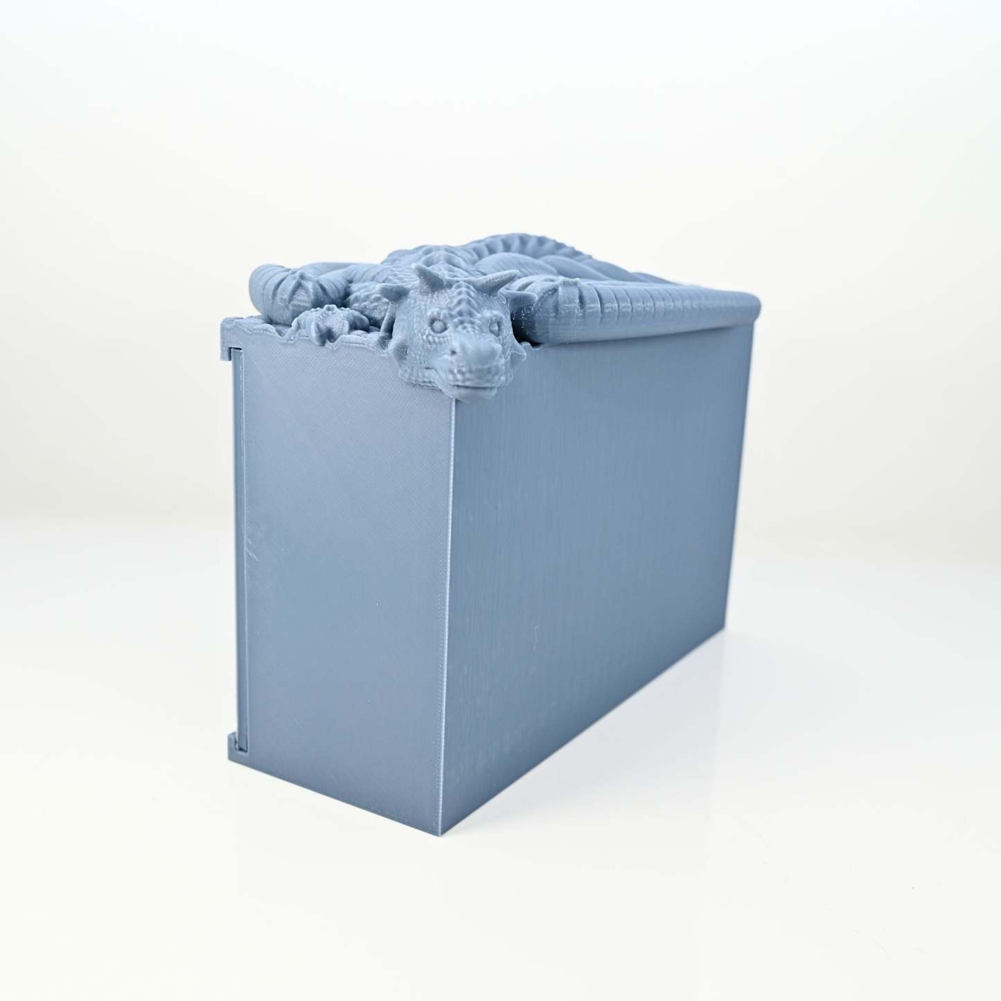 Hanging Dragon Book Nook