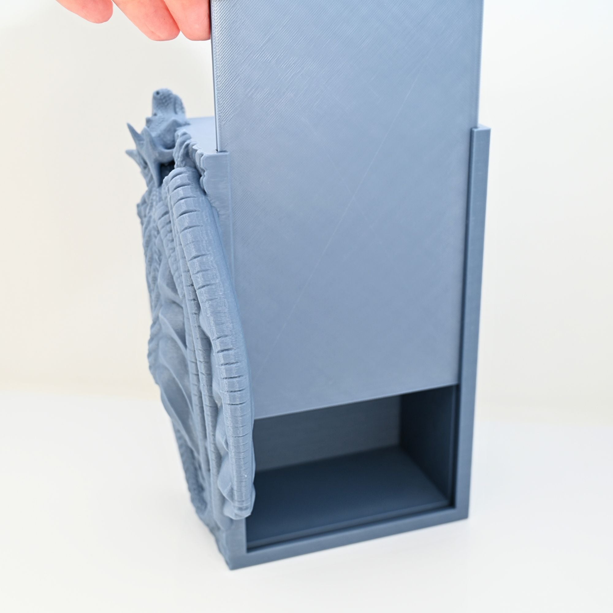 Hanging Dragon Book Nook