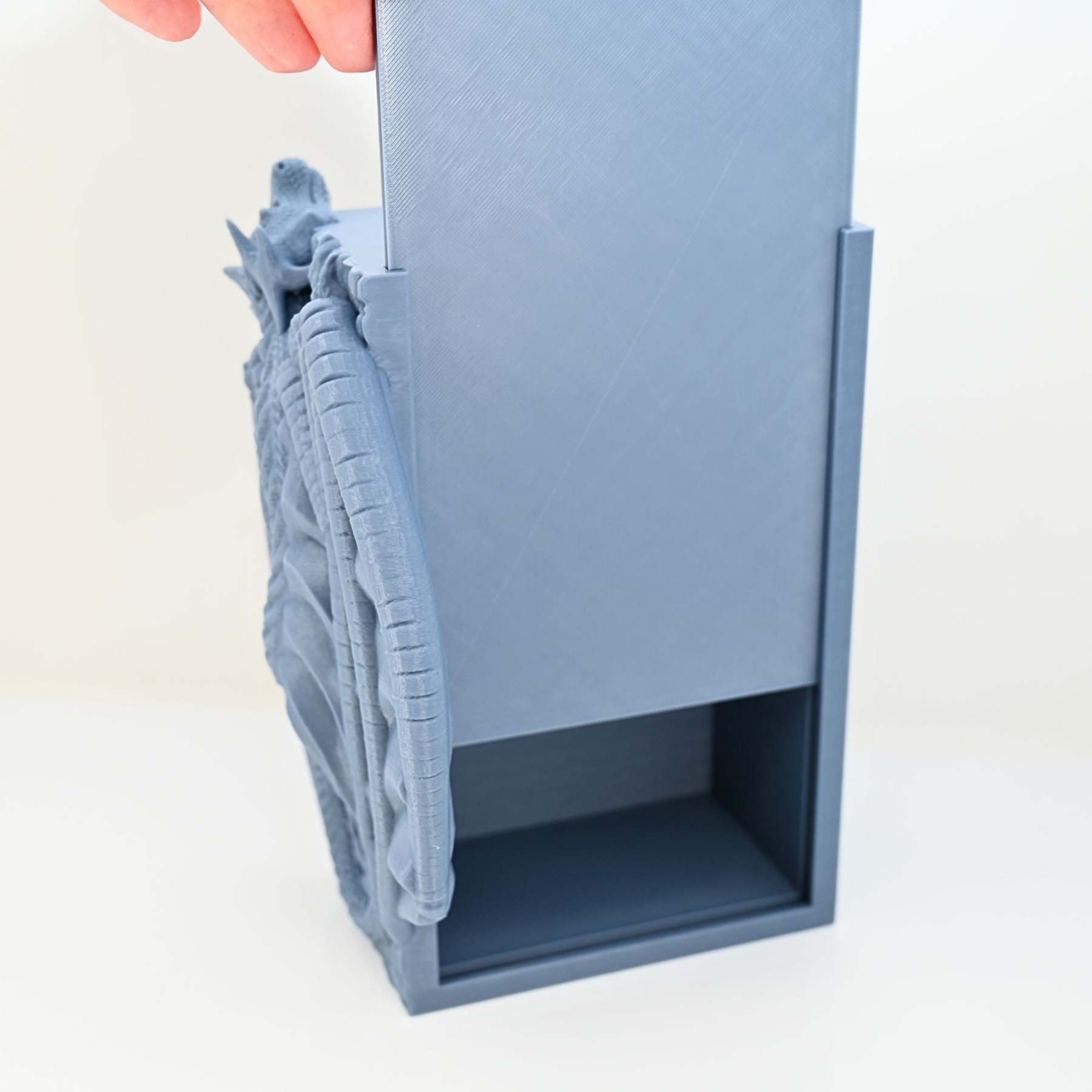 Hanging Dragon Book Nook