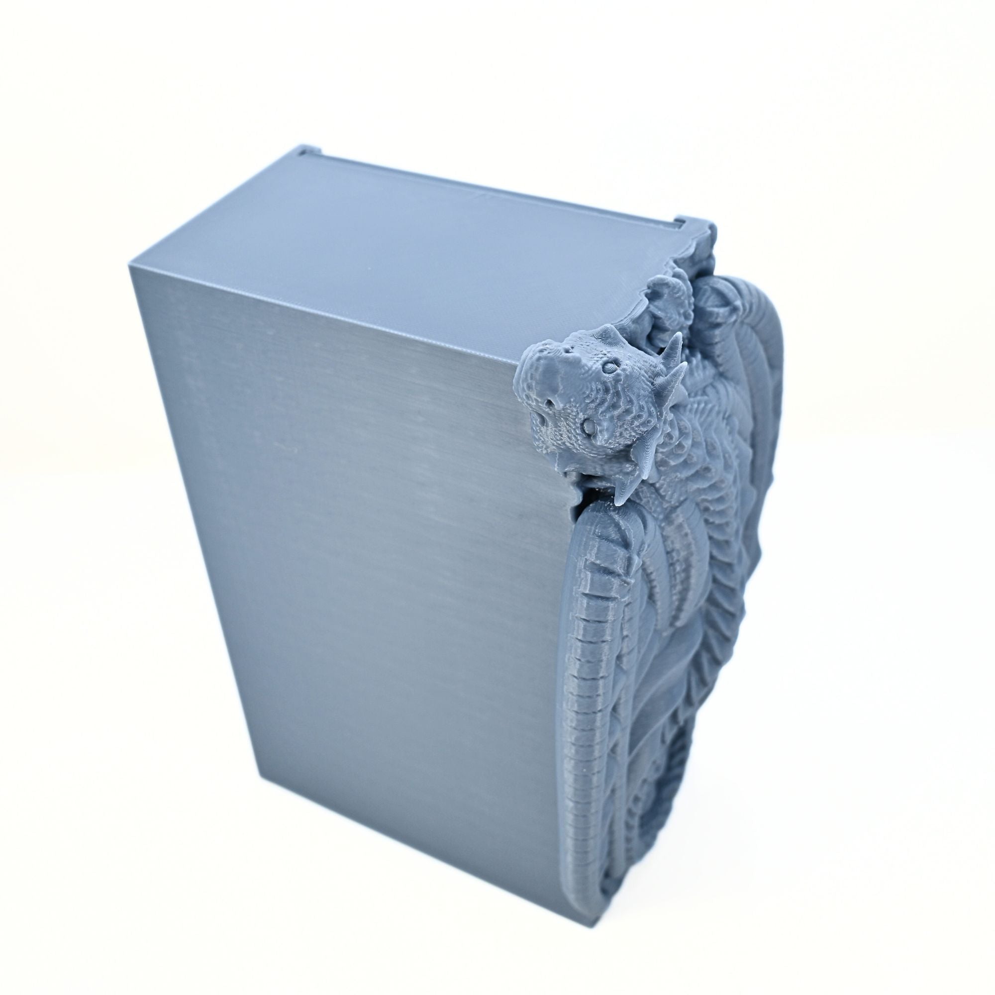 Hanging Dragon Book Nook