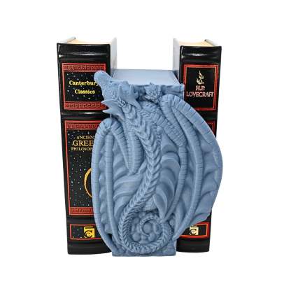 Hanging Dragon Book Nook