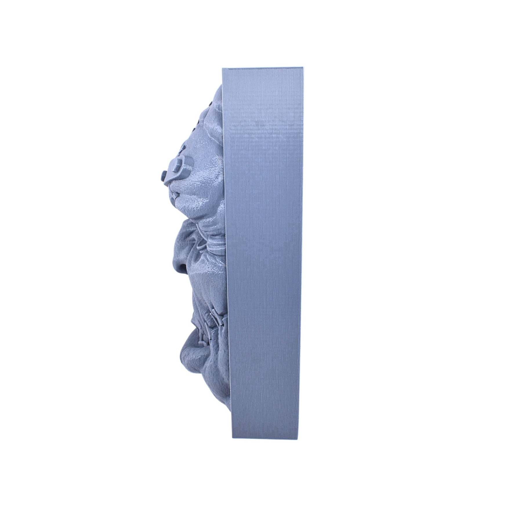 Frankenstein's Monster Book Nook